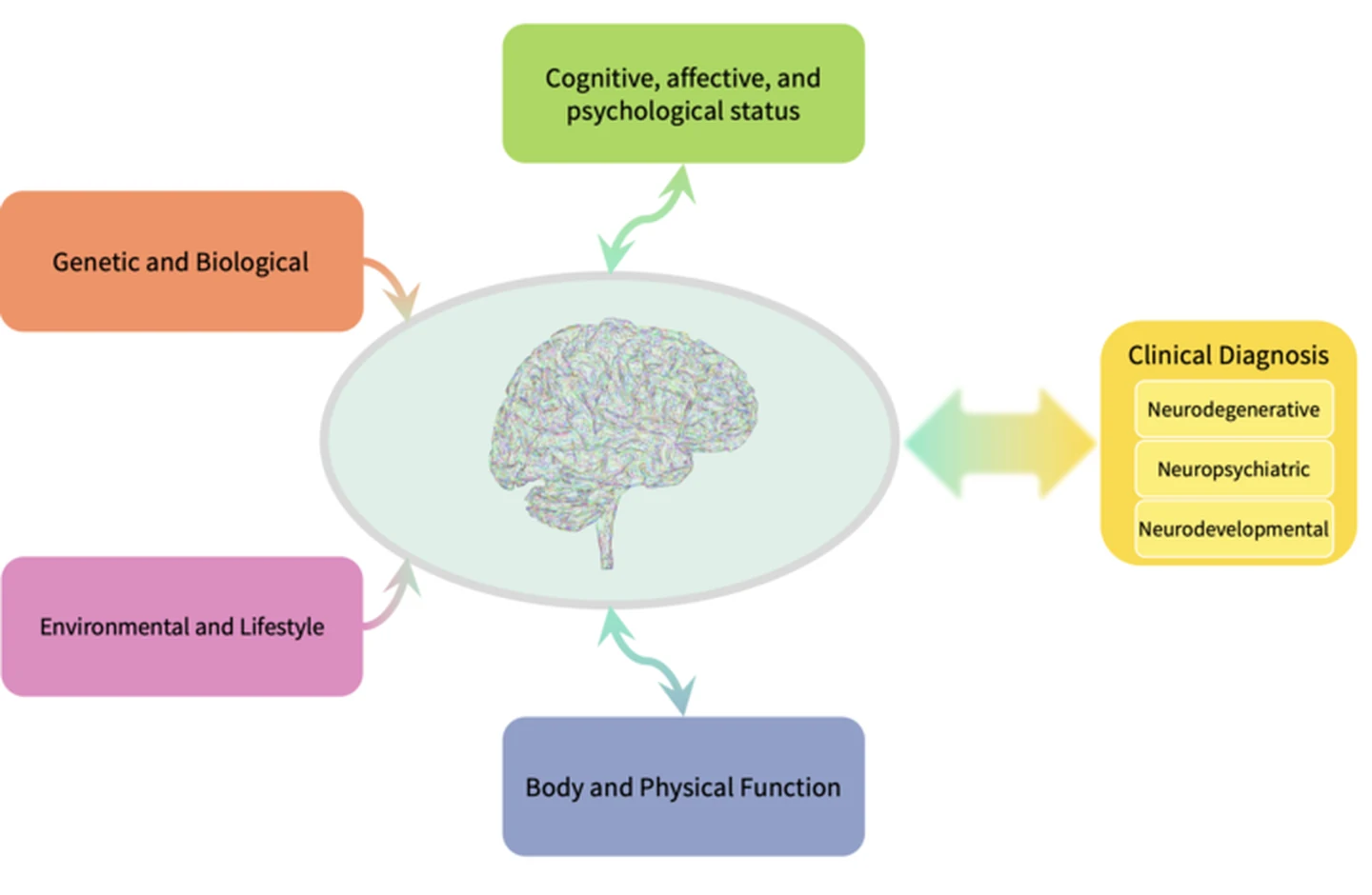 Diagram of the Brain World Model: genetic and biological, environmental and lifestyle, cognitive, affective, and psychological status, and body and physical function data converging on the brain and linking to neurodegenerative, neuropsychiatric, and neurodevelopmental clinical diagnosis.